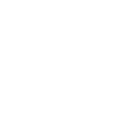 Icon: Schwein